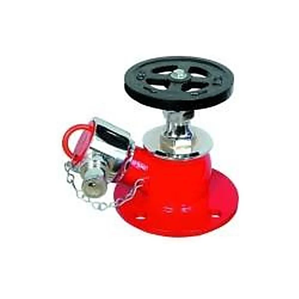Landing Valve supplied in Surat by Red Iron Safety Solutions